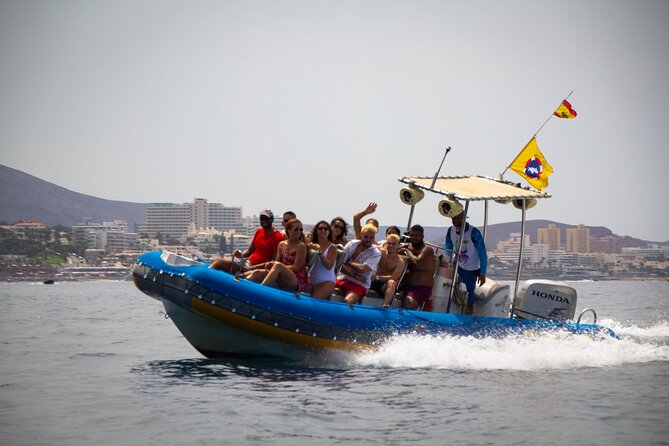 SEA SAFARI Dolphins,Whales, snorkeling, snack, drink, 3h private - Whale watching from Puerto Colón, minus the big-cruise chaos