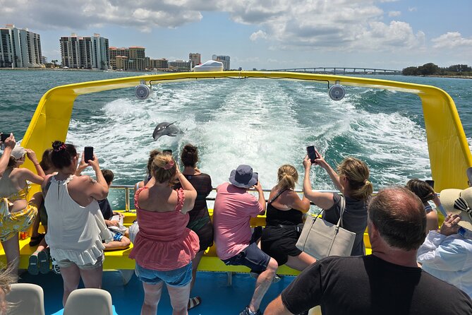 Sea Screamer Clearwater's Only Speed Boat Dolphin Watching - The Gulf dolphin hunt: speed, wake action, and what you should watch for