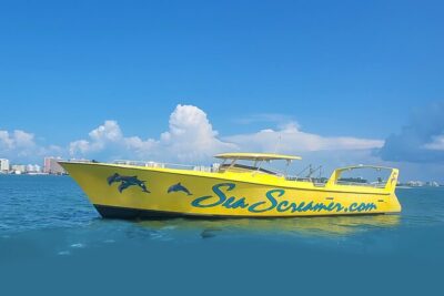 Sea Screamer Clearwater's Only Speed Boat Dolphin Watching - Clearwater Harbor sightseeing: homes, history, and fast views