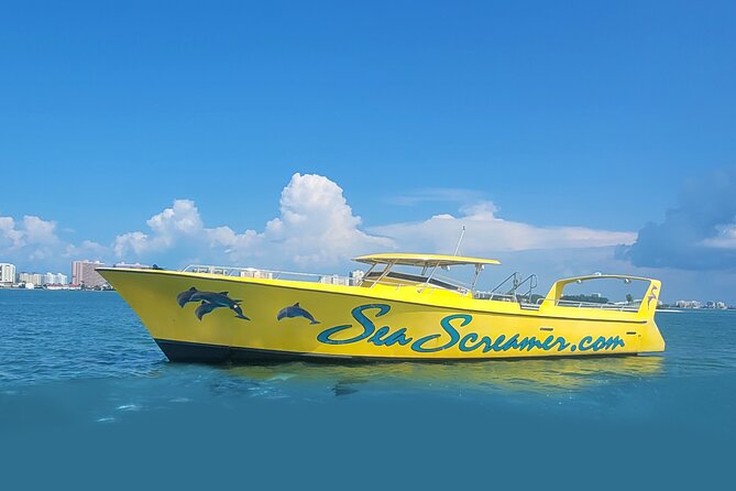 Sea Screamer Clearwater's Only Speed Boat Dolphin Watching - Clearwater Harbor sightseeing: homes, history, and fast views