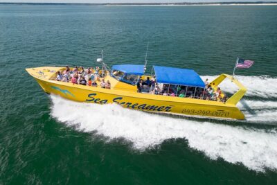 Sea Screamer Cruise - 2 Hour Dolphin Watch Tour in South Carolina - Two Hours Aboard the Sea Screamer: What the Timing Means