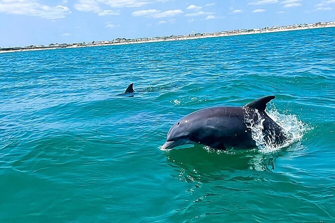 Sea Screamer Cruise - 2 Hour Dolphin Watch Tour in South Carolina - Out Into the Atlantic: How Dolphin Searching Really Works