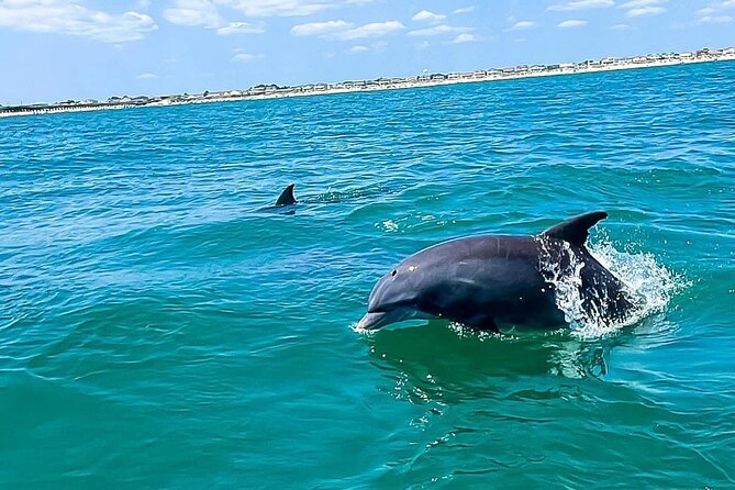 Sea Thunder Cruise-2 Hour Tour Surrounded by Dolphins in S.C - Entering Little River by boat: what the first minutes feel like
