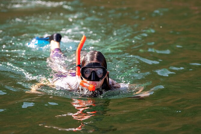 Sea Wonders Dolphin Watching and Snorkeling in Muscat - Key Things I’d Prioritize on This Trip