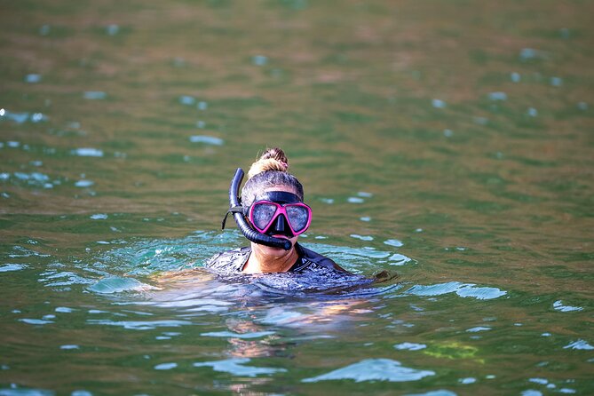 Sea Wonders Dolphin Watching and Snorkeling in Muscat - Dolphin Watching Off Muscat: What You’ll Be Looking For