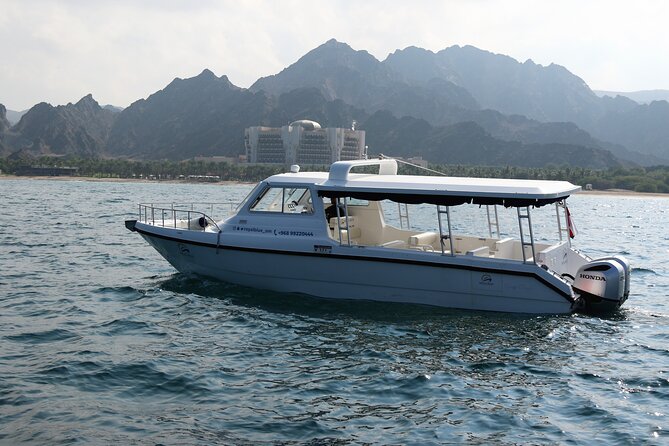 Sea Wonders Dolphin Watching and Snorkeling in Muscat - Should You Book Sea Wonders Dolphin Watching and Snorkeling?
