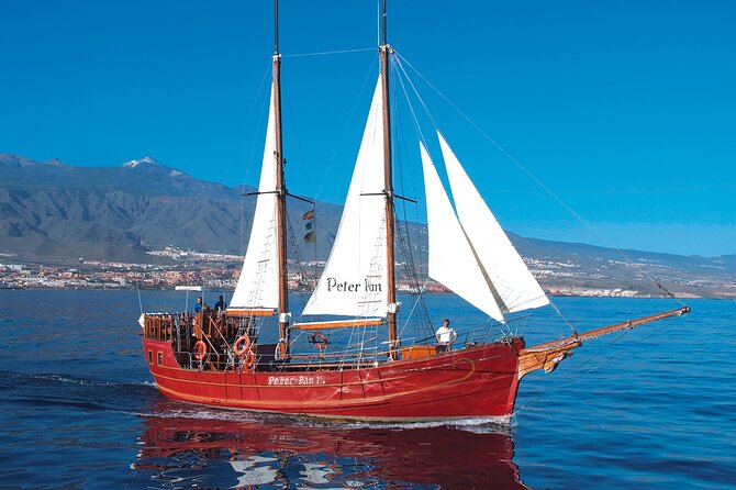 Sealife Dolphin & Whale Watching aboard Portuguese schooner - Food, drink, and the value question: is $57.96 a fair deal?
