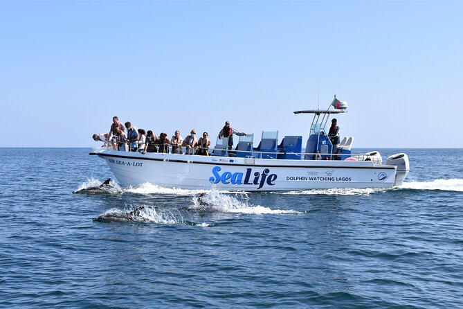 Sealife Sea Safari, Dolphin Watching with Marine Biologist's Lagos - Key Highlights You’ll Actually Care About