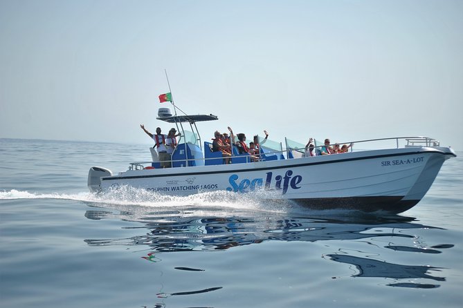 Sealife Sea Safari, Dolphin Watching with Marine Biologist's Lagos - Dolphin Watching in Lagos With a Marine Biologist (Not Just a Boat Trip)