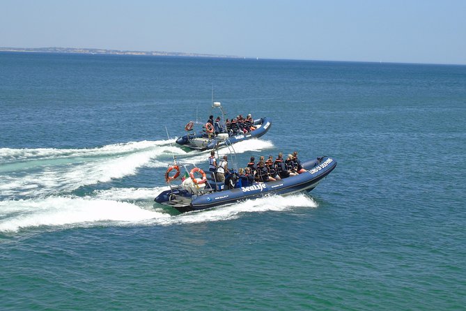 Sealife Sea Safari, Dolphin Watching with Marine Biologist's Lagos - Is This Worth $48.39? Value Check for Real People