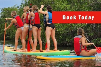 Self-Guided Kayaking Manatee and Dolphin Tour - A1A Outdoor Center start: reconfirm, then a short ride to the water