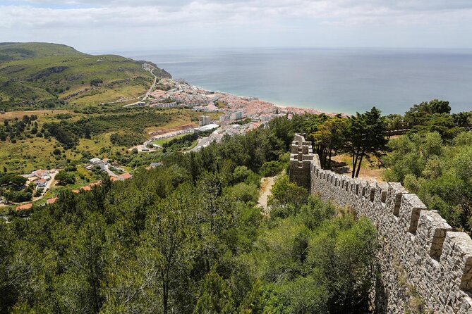 Sesimbra: Arrábida Dolphin and Whale Watching tour with biologist - 5 Key Things That Make This Tour Worth Your Time