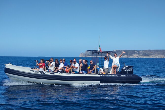 Sesimbra: Arrábida Dolphin and Whale Watching tour with biologist - Sesimbra–Arrábida Marine Park: The Smart Setting for Dolphin and Whale Watching