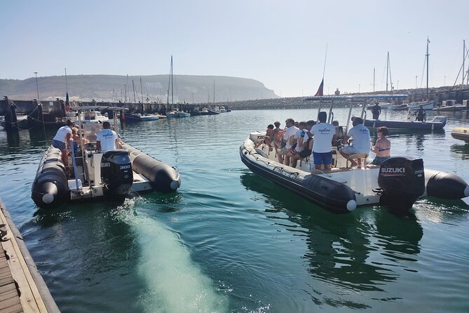 Sesimbra: Arrábida Dolphin and Whale Watching tour with biologist - How Long It Really Takes: Timing That Makes Sense for a Half-Day