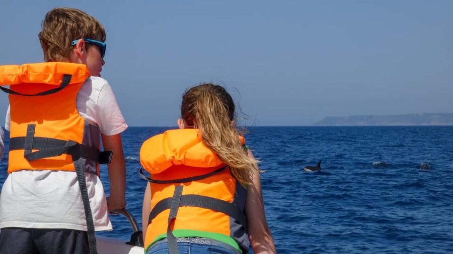 Sesimbra: Arrábida Dolphin and Whale Watching with Biologist - What the first boat stage feels like: briefing, then the wildlife hunt