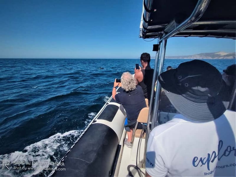 Sesimbra: Dolphin Watching Boat Tour with Biologist Guide - The boat ride setup: comfort, safety, and dolphin etiquette