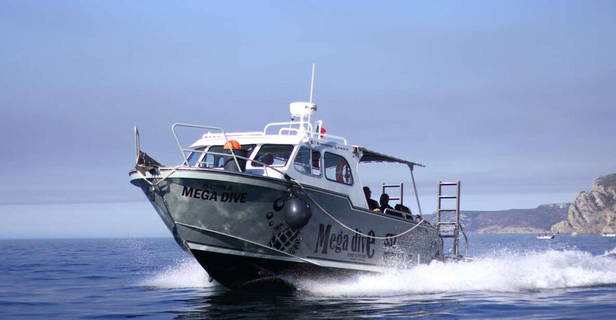 Sesimbra: Dolphin Watching with a marine biologist - Setting off from Sesimbra: what the morning feels like