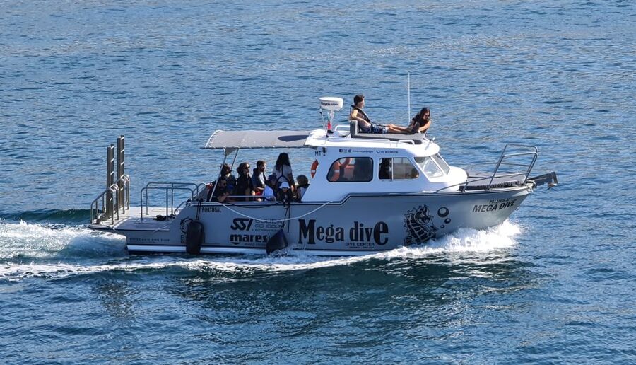 Sesimbra: Dolphin Watching with a marine biologist - Where you go: Professor Luiz Saldanha Marine Park meets Arrábida