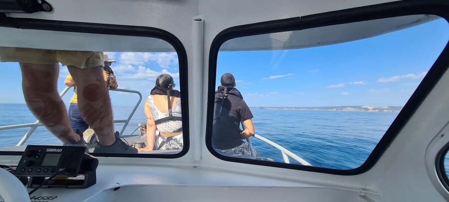 Sesimbra: Dolphin Watching with a marine biologist - Stop-by-stop: the pacing, the scenery, and the swim breaks