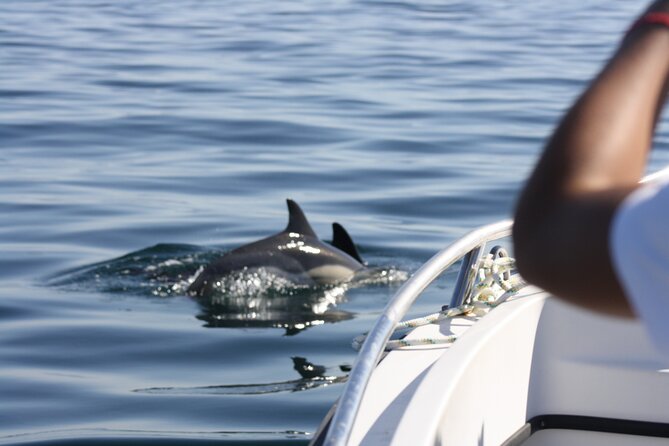 Sesimbra Observation of Dolphins with Biologist in Marine Park - Swimming and Caves: The Bits That Turn a Sightseeing Trip Into a Morning