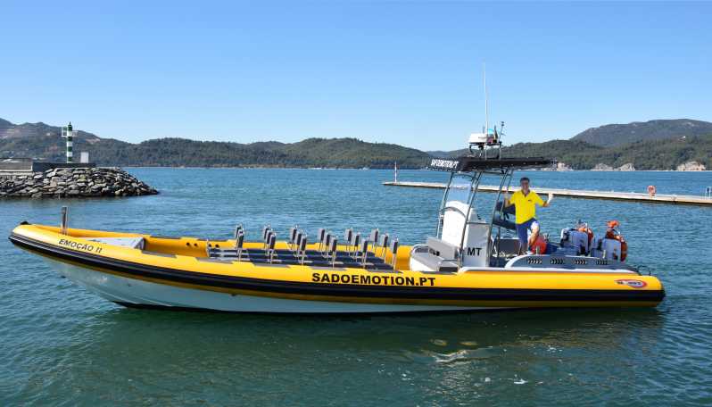Setúbal and Tróia: Dolphin Watching and Arrábida Bays - From Setúbal or Tróia: the start that shapes the whole trip