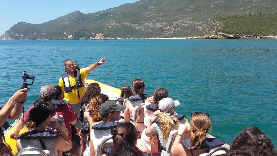Setúbal and Tróia: Dolphin Watching and Arrábida Bays - Price and value: why $53 can be a fair deal