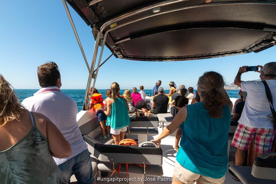 Setúbal: Dolphin Watching Boat Tour - Comfort and Safety on a Modern Speedboat