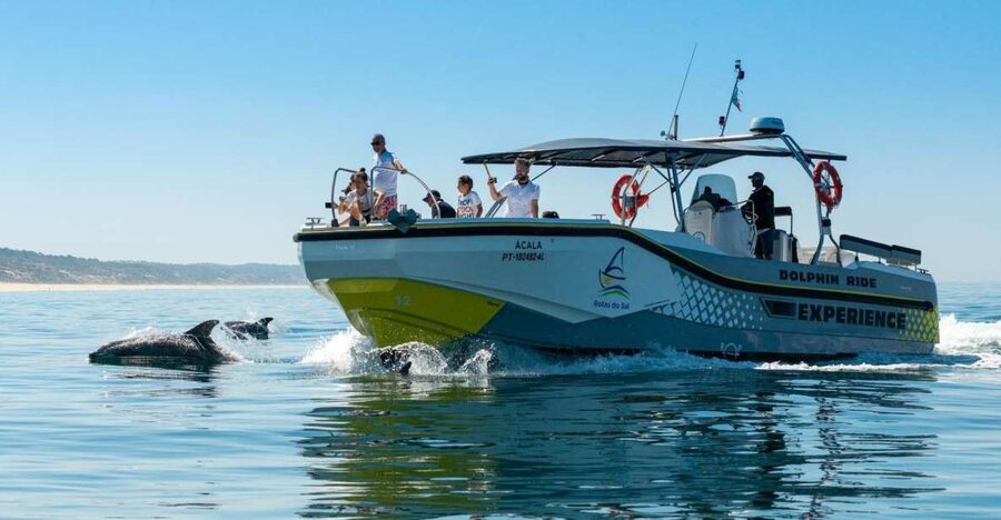 Setúbal: Dolphin Watching Boat Tour - Guides Who Talk Like Humans (In English, Portuguese, and Spanish)