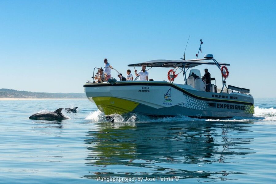 Setúbal: Dolphin-Watching Boat Tour - Arrábida and Troia views from the water