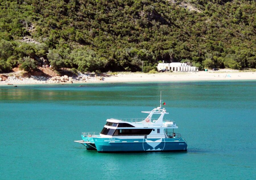 Setúbal: Dolphin Watching Tour - Key points before you go