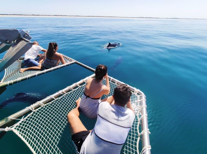 Setúbal: Dolphin Watching Tour - What to bring, and how to make the day easier on yourself