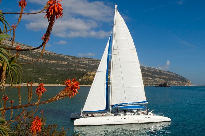 Setúbal Private Tour - Including Dolphin Watching - Getting picked up and staying on schedule (8 to 9 hours total)