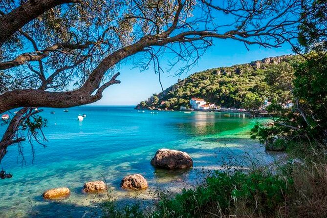 Setúbal Private Tour - Including Dolphin Watching - Price and value: what you’re really paying for at $221