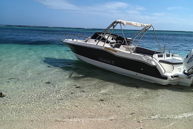 Shared 10 Pax Boat Tour: Dolphin Watching, Snorkelling and BBQ - The Skipper and Safety: Comfort Is Part of the Experience