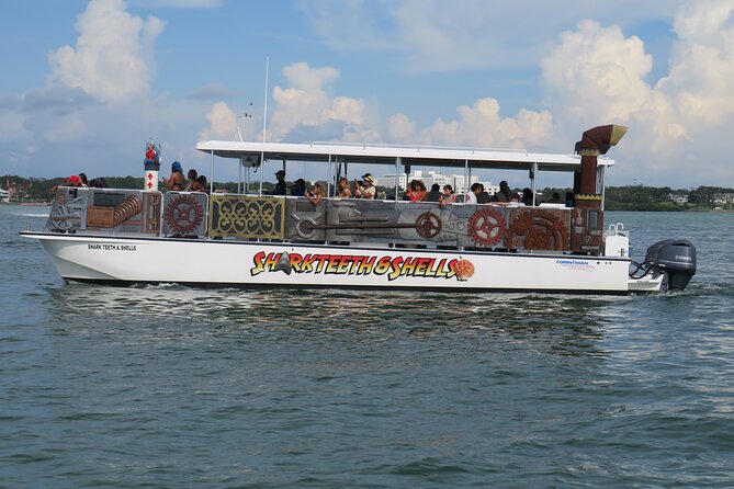 Shark Teeth and Shells, Dolphin and Shelling Tour Boat Clearwater Beach - Key points at a glance