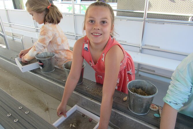 Shark Teeth and Shells, Dolphin and Shelling Tour Boat Clearwater Beach - What you get for the $28 price and 1-hour time