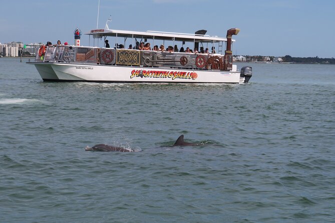 Shark Teeth and Shells, Dolphin and Shelling Tour Boat Clearwater Beach - Who this tour suits best (and who might not)