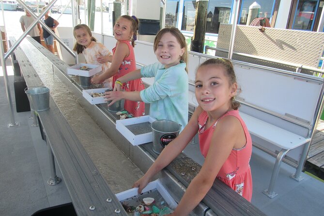 Shark Teeth and Shells, Dolphin and Shelling Tour Boat Clearwater Beach - Should you book Shark Teeth and Shells, Dolphin and Shelling Tour Boat?