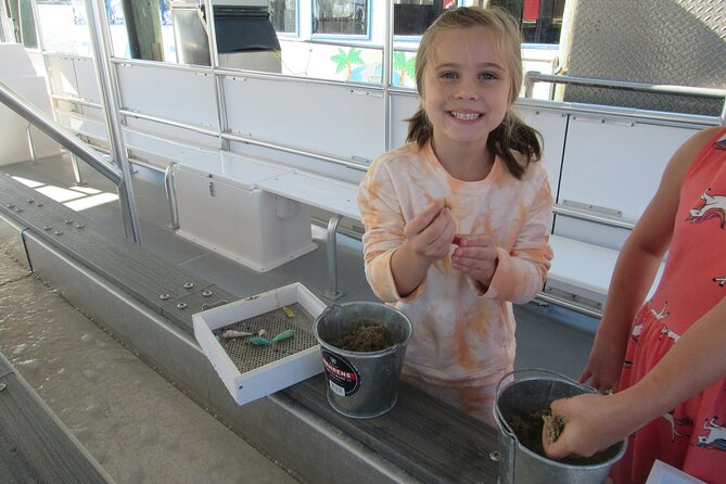 Shark Teeth and Shells, Dolphin and Shelling Tour Boat Clearwater Beach - The on-board shelling: shark teeth and seashells as a souvenir