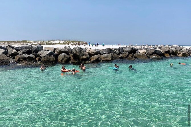 Shell Island Dolphin and Snorkel Boat Tour - Key Highlights to Know Before You Go