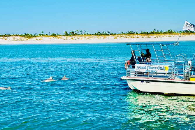 Shell Island Dolphin Sightseeing Boat Tour in Panama City Beach - Panama City Beach dolphin time, without the big-boat chaos