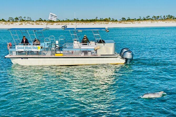 Shell Island Dolphin Sightseeing Boat Tour in Panama City Beach - Where you’ll cruise: St. Andrews Bay, the Gulf, and Shell Island