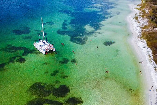Shell Island Snorkel and Dolphin Catamaran Cruise with Island Time - Key highlights you’ll feel right away