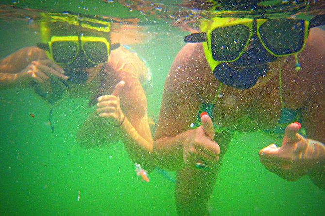 Shell Island Snorkel and Dolphin Catamaran Cruise with Island Time - Shell Island time: beach play and real ocean vibes