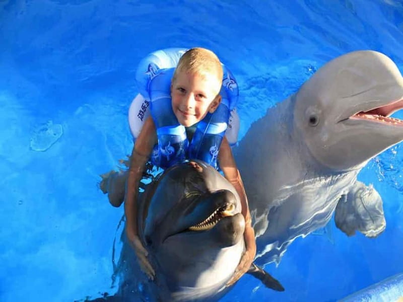 Side/Alanya: Swimming with Dolphins and Dolphin Show - Swimming in the Pool: Life Vests, a Small Group, and a Real Training Vibe