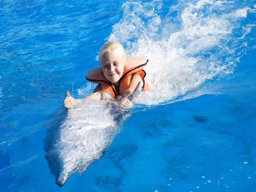 Side/Alanya: Swimming with Dolphins and Dolphin Show - Seals and Sea Lions: More Than Background Entertainment