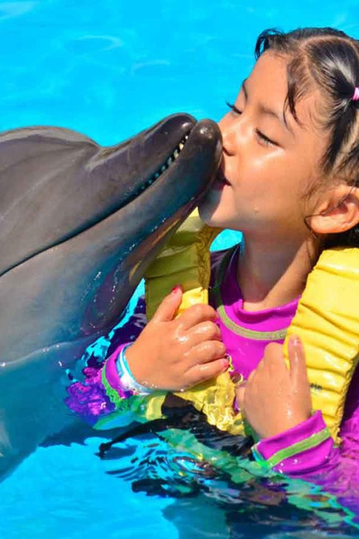 Side/Alanya: Swimming with Dolphins and Dolphin Show - Price, Value, and the Smart Way to Compare