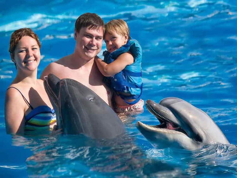 Side/Alanya: Swimming with Dolphins and Dolphin Show - Who This Is Best For (and Who Should Skip It)