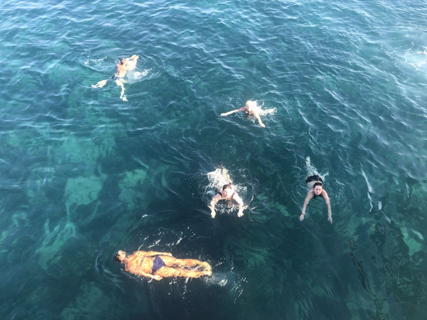 Side: Dolphin Island Boat Tour w/ Lunch & Foam Party - What It Feels Like Onboard: Crew, Music, and Group Energy