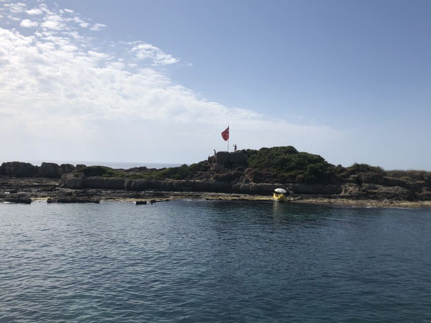 Side: Dolphin Island Boat Tour w/ Lunch & Foam Party - What to Bring (and What to Skip) for a Smooth Day